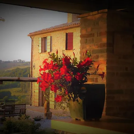 Quelli Del Picchio Cupramontana