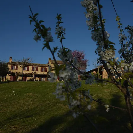 Quelli Del Picchio Bed & Breakfast Cupramontana