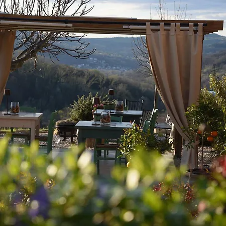 Quelli Del Picchio Cupramontana