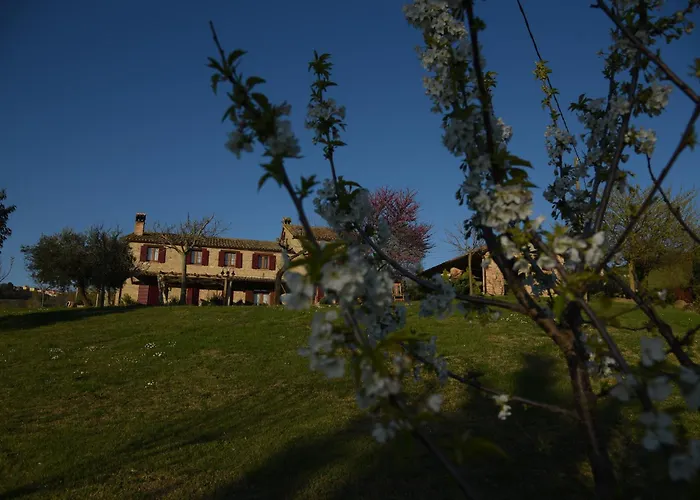 Quelli Del Picchio Bed & Breakfast Cupramontana